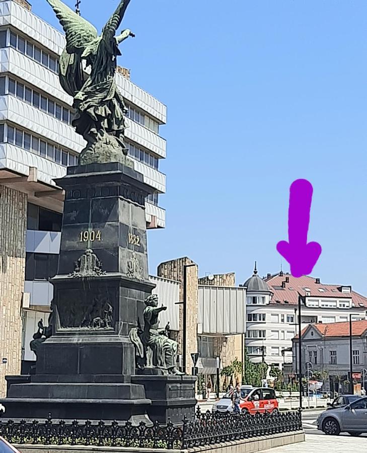 Zara Apartman Krusevac - Centar Lejlighed Eksteriør billede
